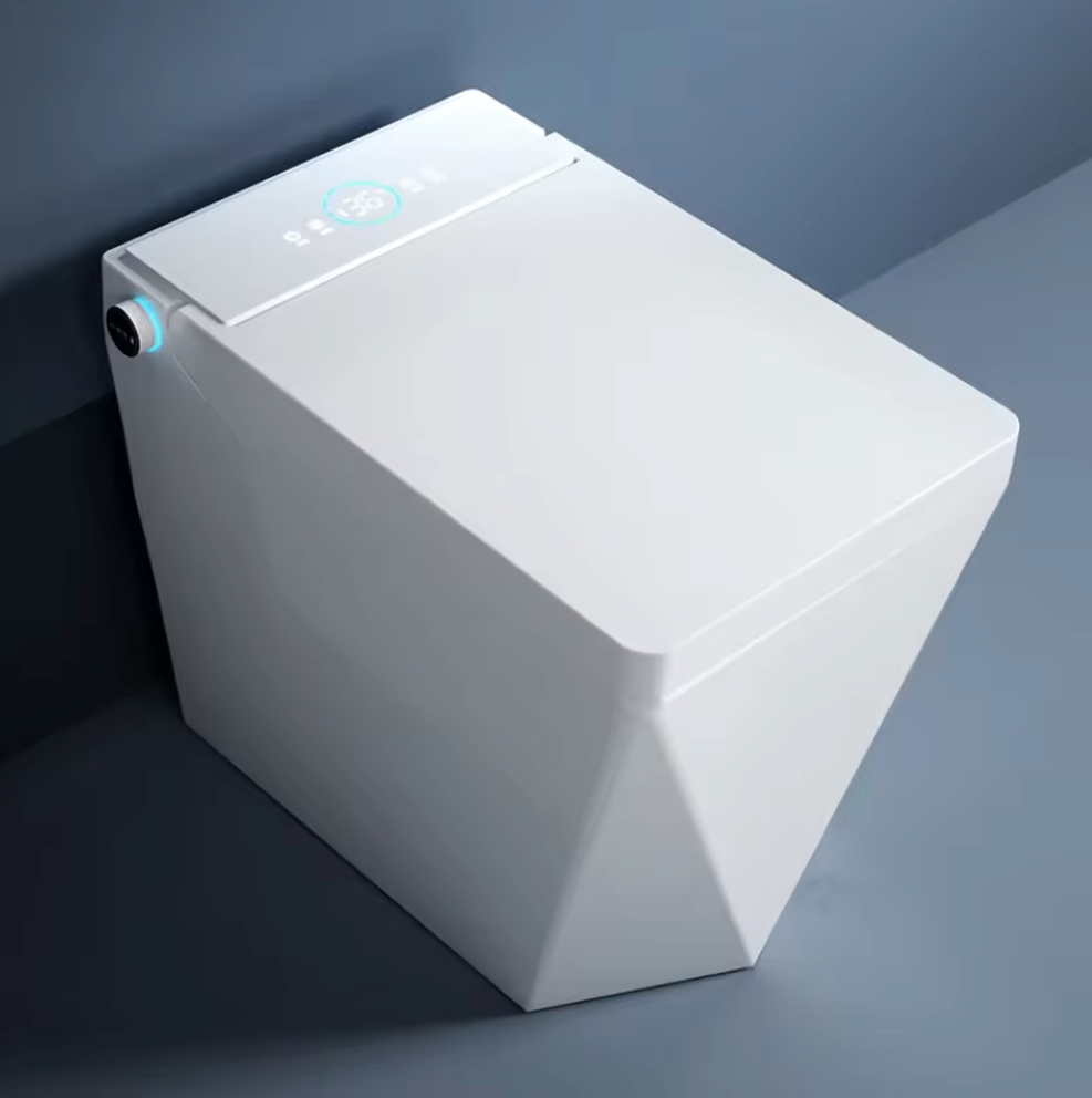 Smart Toilet Het Klassiek D - Serie