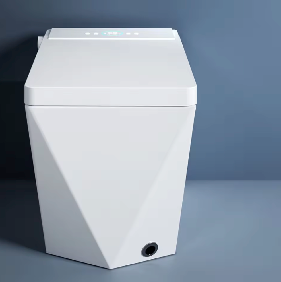 Smart Toilet Het Klassiek D - Serie