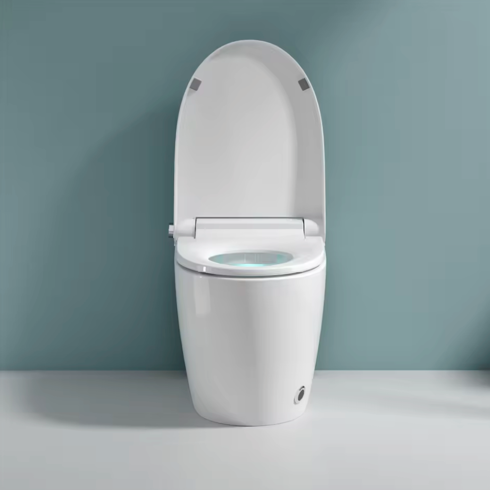Smart Toilet Het Klassiek G - Serie