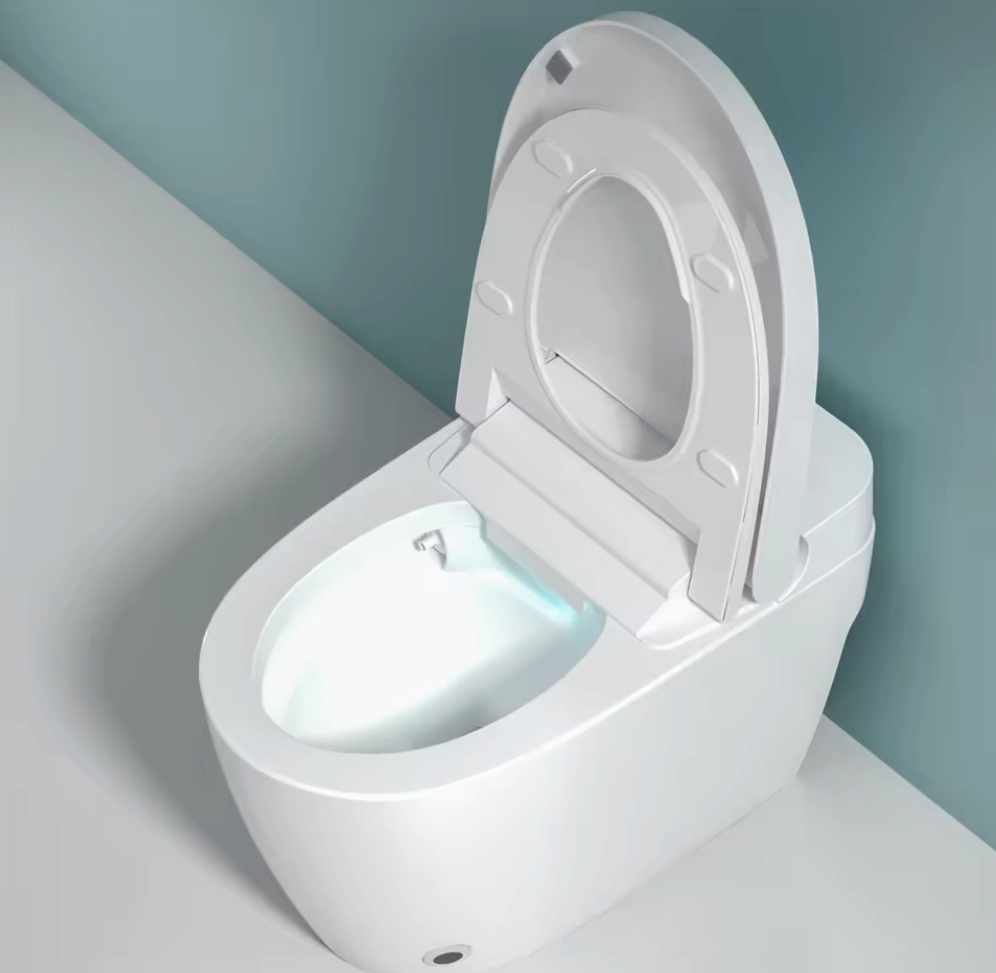 Smart Toilet Het Klassiek G - Serie